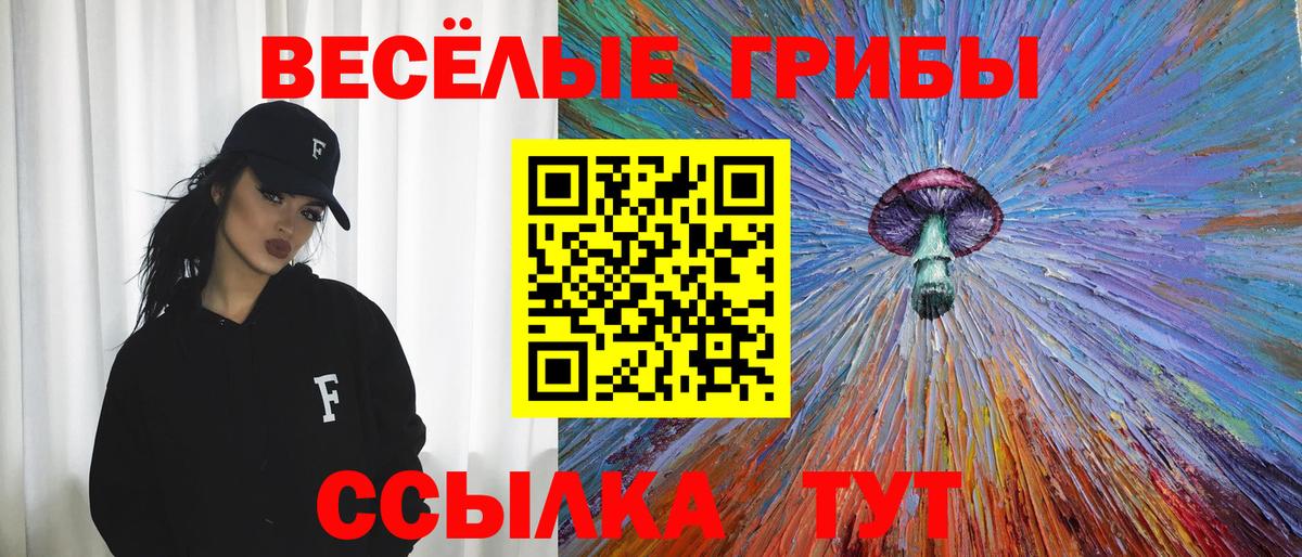 Черногорск  Псилоцибиновые грибы Magic Shrooms  где купить   Вход с VPN 